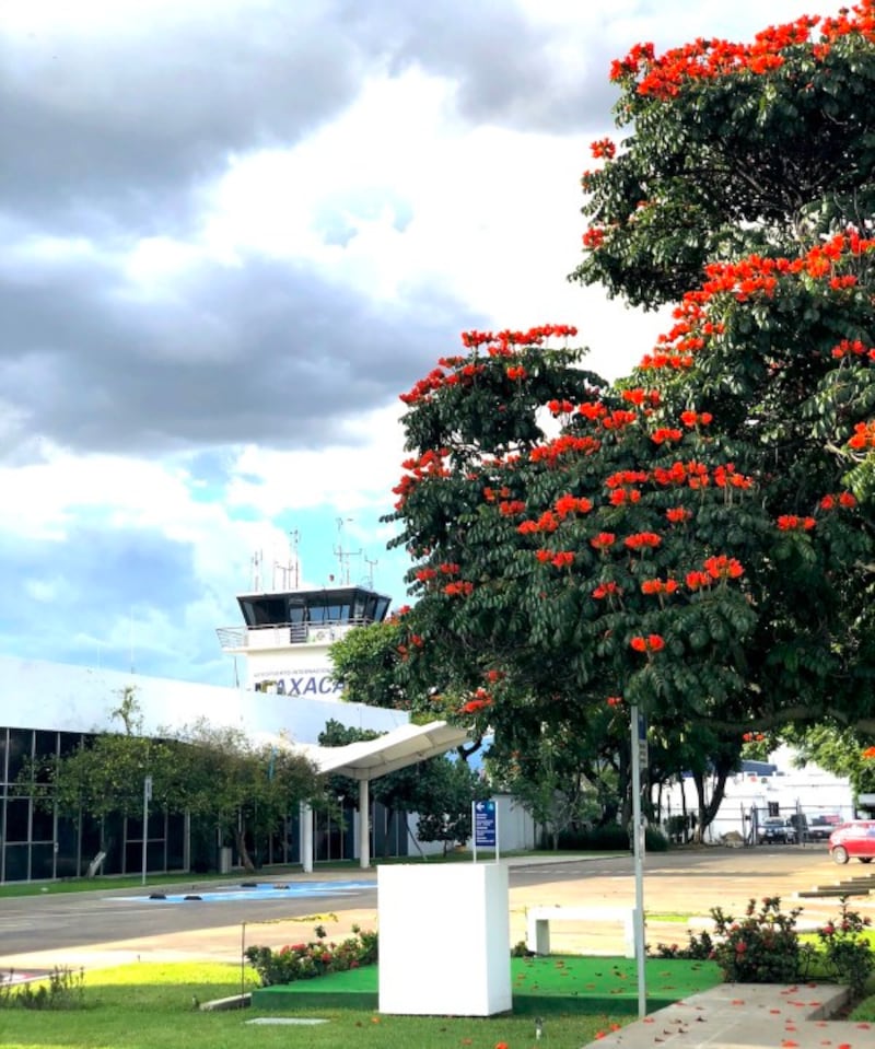 オアハカ空港