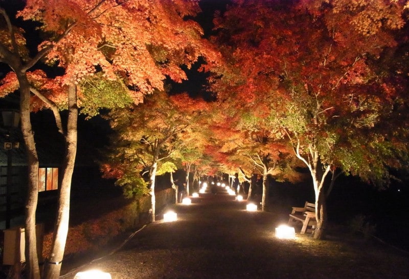もみじ祭り －心静かに紅葉を観る会