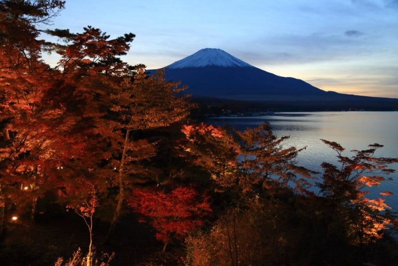 夕焼けの渚・紅葉祭り