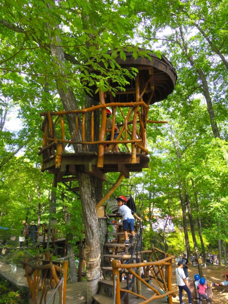 きのこの見はり台