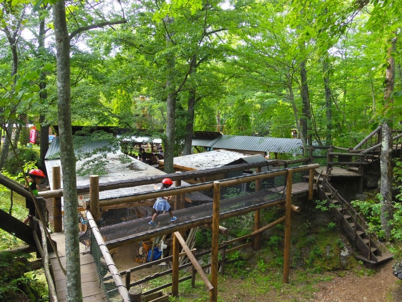 クモの巣ネット