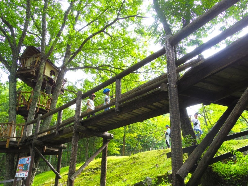 かわせみのツリーハウス