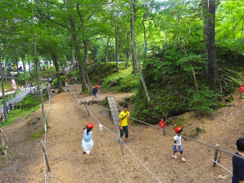 木立を抜けるジップロープ