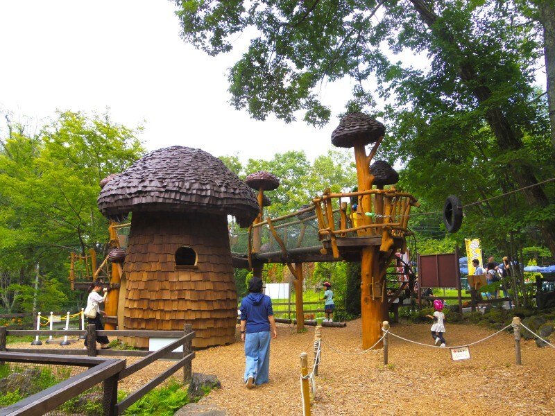 巨大キノコの秘密基地とキノコタワー