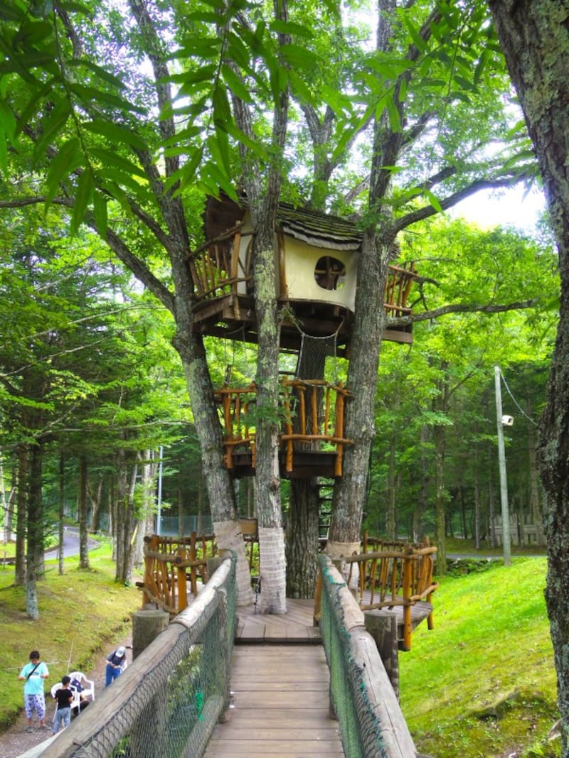 かわせみのツリーハウス