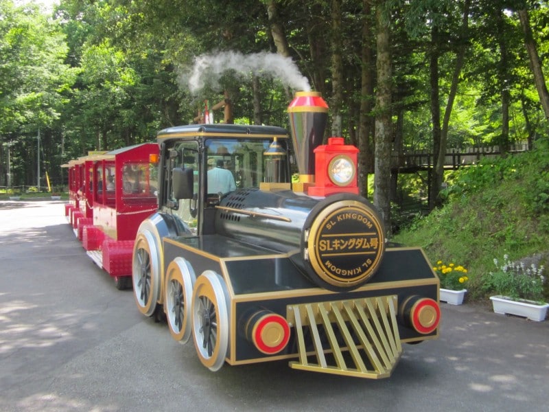 SLキングダム号
