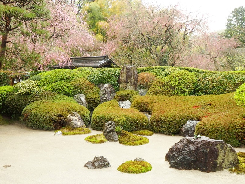 しだれ桜が美しい借景となった枯山水の庭園