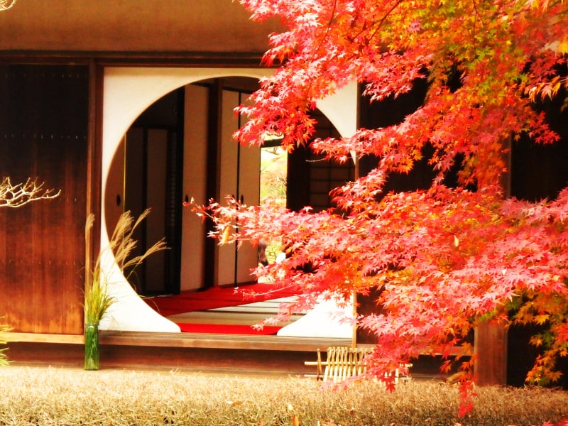 紅葉に彩られた明月院の丸窓。歴史を感じる趣