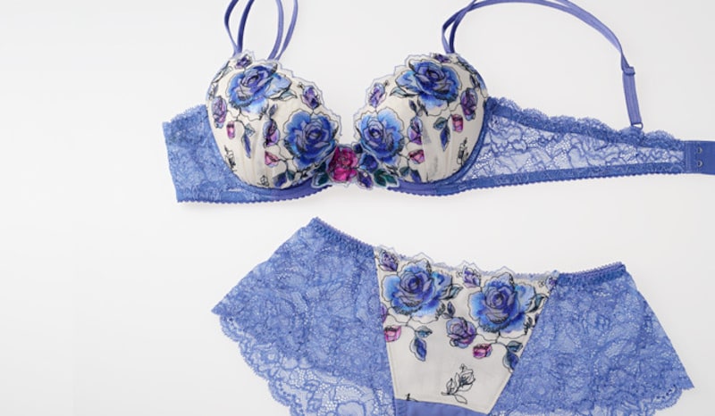 パルファージュパーソナルフィットプラスブラ 価格:8600円(税抜価格)