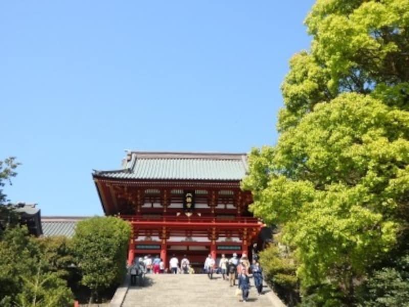 鎌倉の町を象徴するかのような鶴岡八幡宮