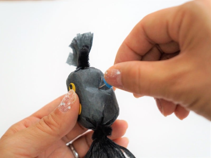 クモの頭に画びょうを刺して小さな穴を2つ開けます。