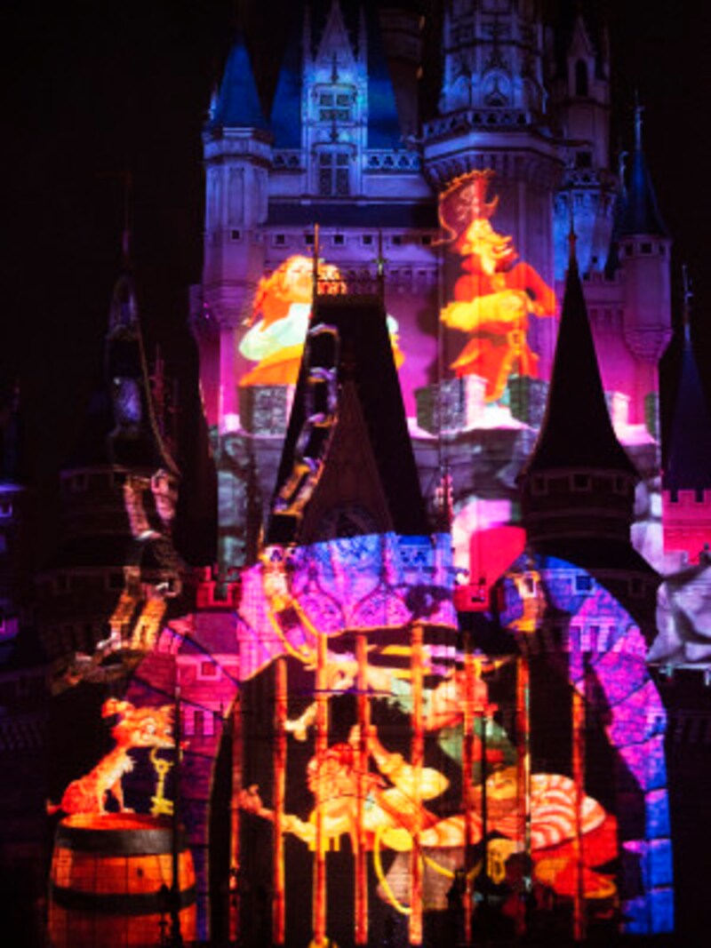 Celebrate! Tokyo Disneyland