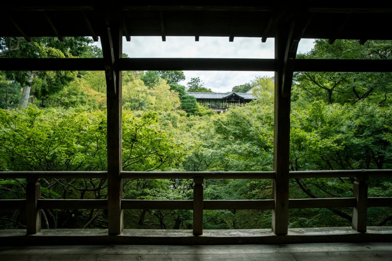 通天橋からの眺め