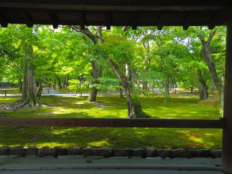 通天橋の脇のじゅうたん