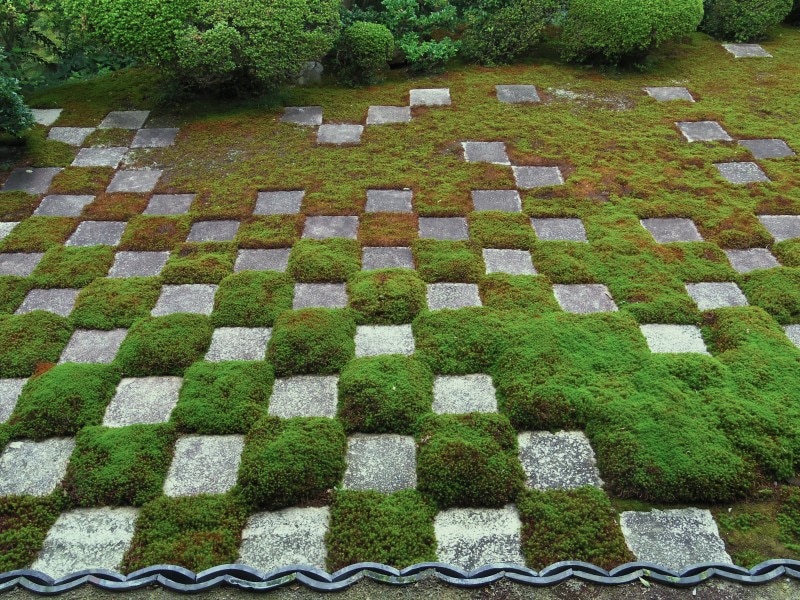 本坊庭園の北庭