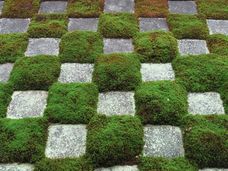 市松模様のアップ