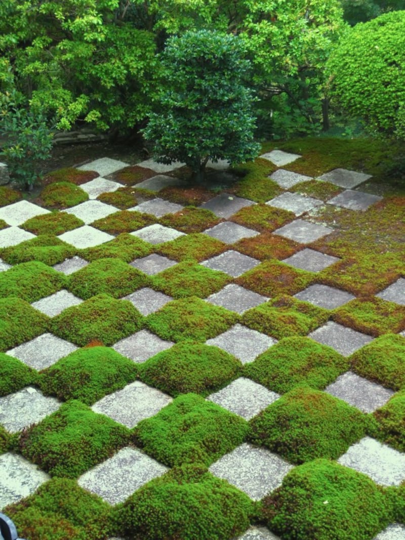 本坊庭園の北庭