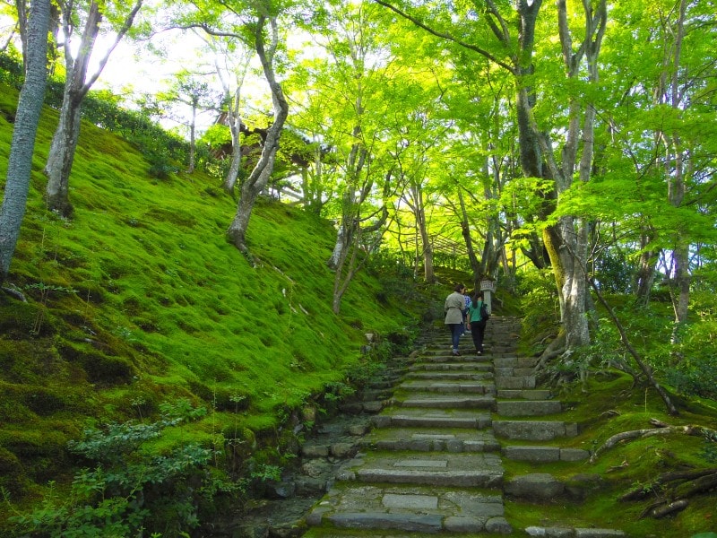 常寂光寺の苔が美しい末吉坂