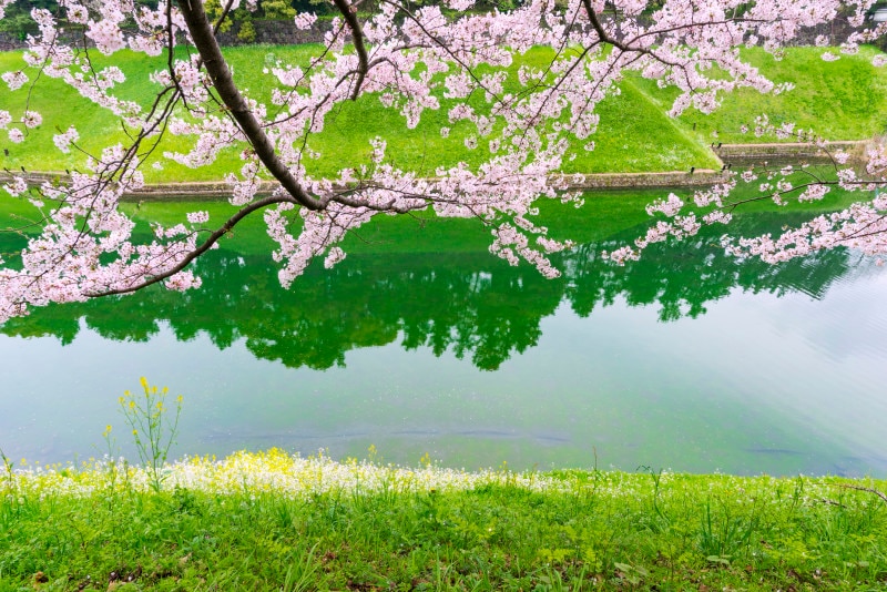 春を感じさせる男の子の二文字の名前