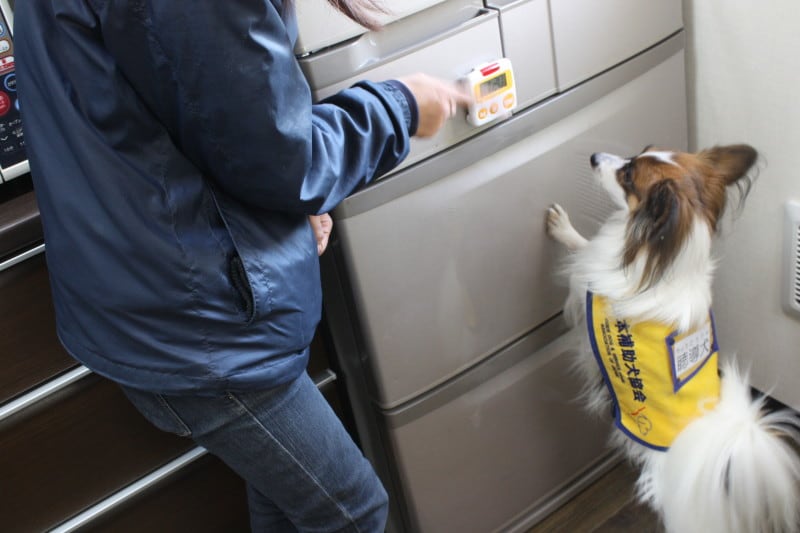 聴導犬（キッチンタイマーの音）