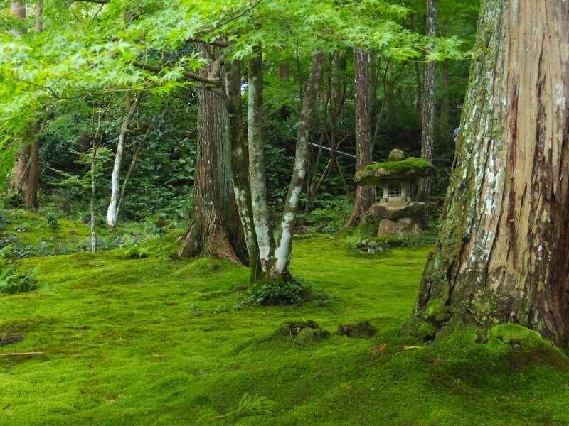聚碧園