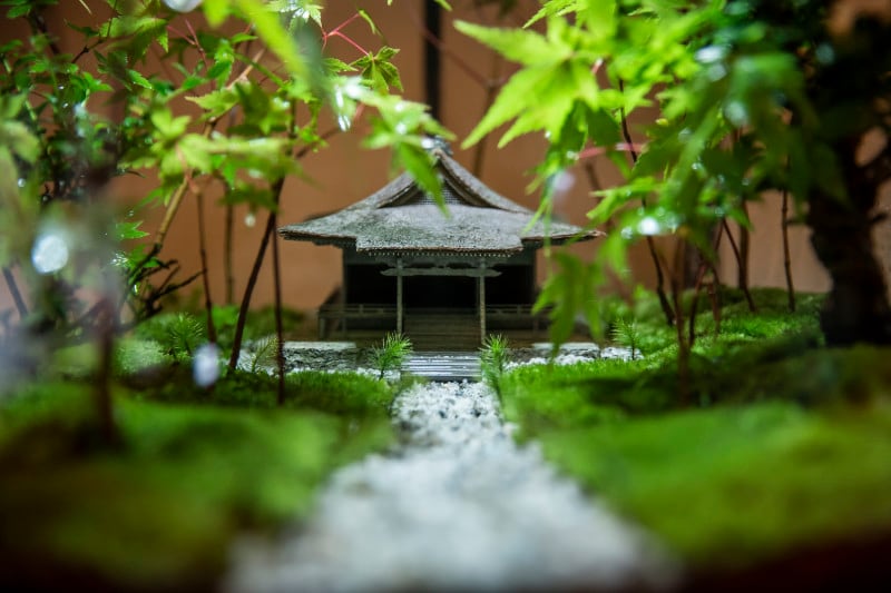 往生極楽院のコケ寺リウム