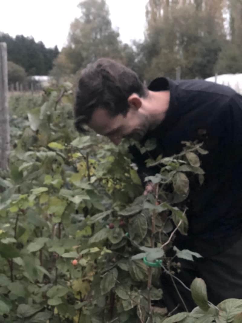 「素材は極力、自分が管理するファームのものを使いたい」