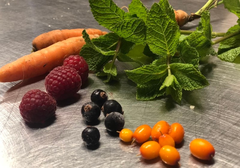 この日アトリエにあったフルーツと野菜