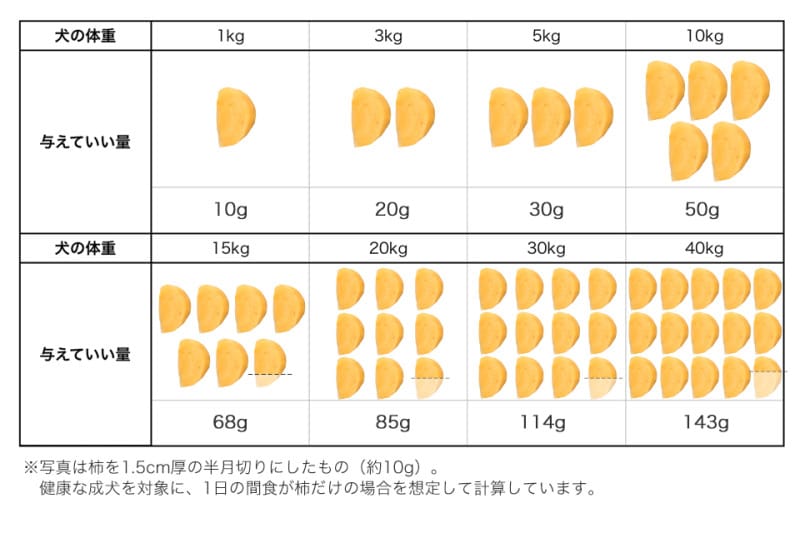 犬,わんこ,わんちゃん,愛犬,かき,柿,カキ,種無し柿,富有柿,干し柿,あんぽ柿,柿の種,食べていい,食べちゃダメ,食べちゃった,あげていい,種,効果,効能,効く,病気,治る,量,吐く,下痢,適量,与える量,食べていい量,どれぐらいの量,