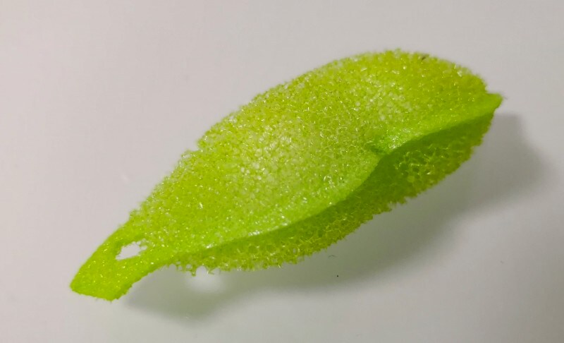 マイボトルやペットボトルを再利用　便利グッズビーンズ