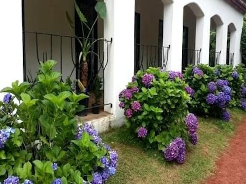 季節ごとに違った植物を鑑賞する楽しみも。 初夏は紫陽花がキレイ