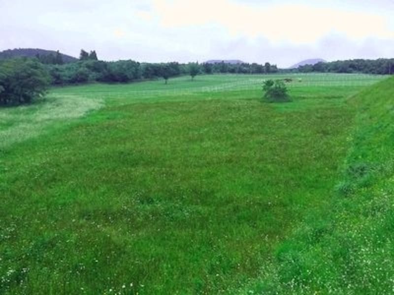 自然溢れる済州島だから、楽しみ方もいろいろ。テーマを決めて巡るのもまた楽しい