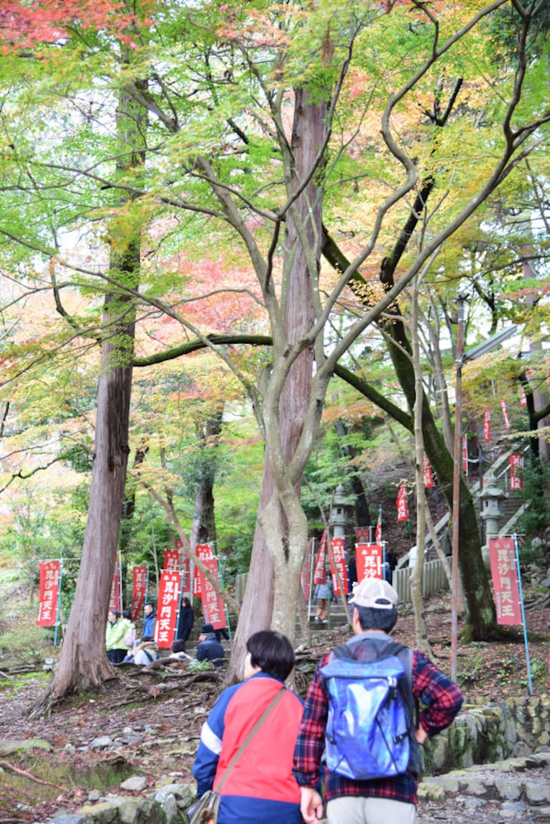 山科の紅葉の名所、毘沙門堂。2017年11月19日訪問時、境内は紅葉が進んでいたが、参道付近はまだ緑が多かった