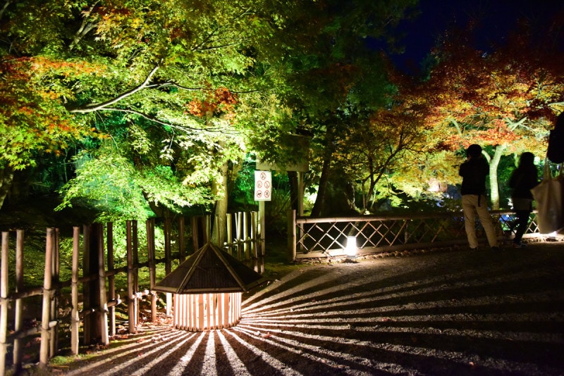見事な紅葉ライトアップが行われることで知られる嵐山の宝厳院。2017年11月20日訪問時、庭園入口付近は、まだ緑の木が多かった