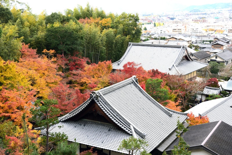 圓光寺は裏山に登ると、境内の紅葉と京都市中の風景が同時に楽しめる