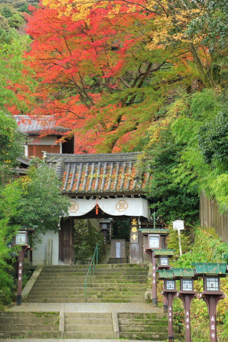 祗園の花街から近いにもかかわらず、静かに紅葉が楽しめる長楽寺