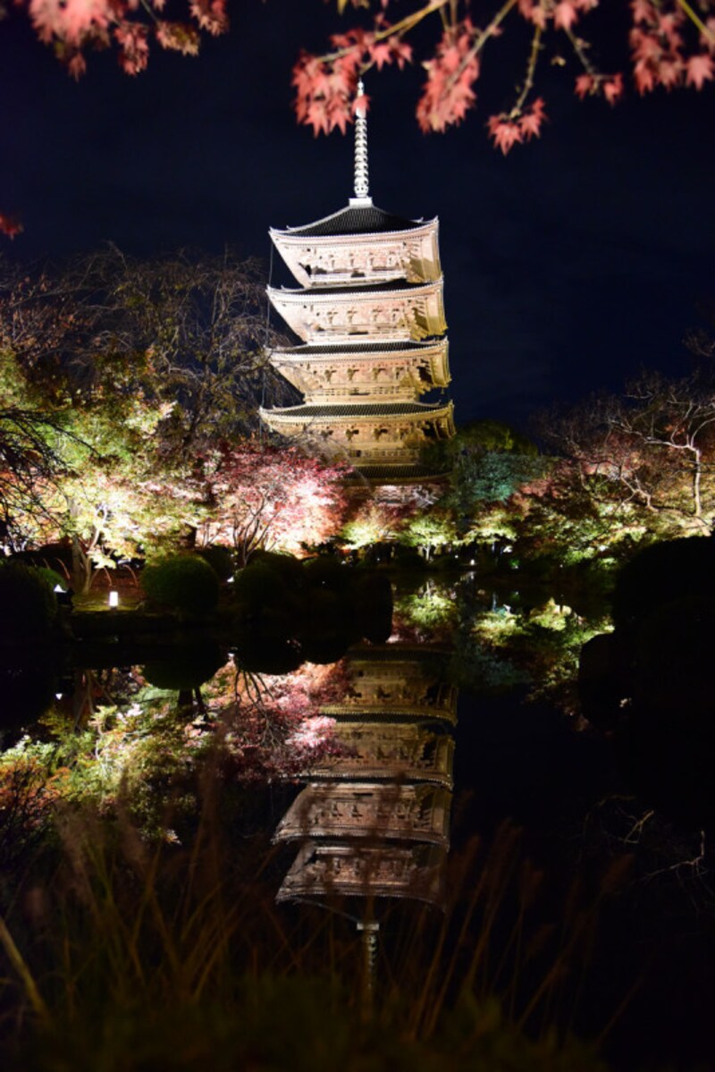 東寺の紅葉ライトアップ。五重塔と紅葉が池に映り込む