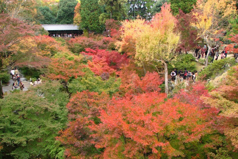 雄大な紅葉が楽しめる東福寺。2016年から紅葉の時期に限り、境内の橋上での写真撮影が禁止に