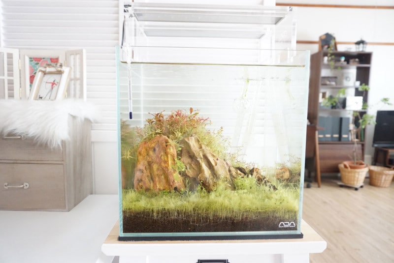 一人暮らしの部屋