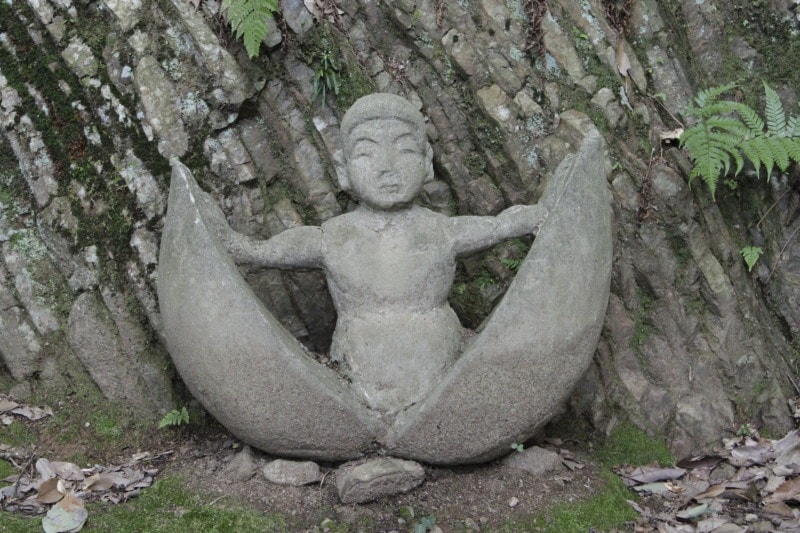 本殿に参られたらぜひ隅々まで散策してほしい