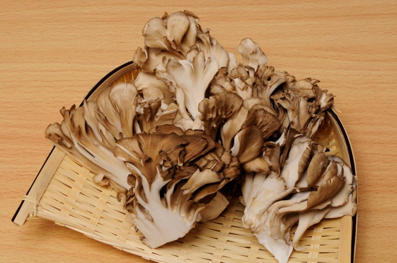 舞茸に漬け込むことでも肉は柔らかくなる