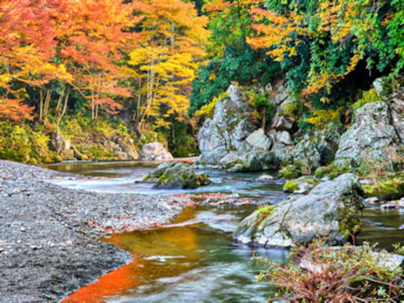 東京の紅葉18 名所 穴場おすすめランキング 紅葉スポット All About 東京の紅葉18 名所 穴場おすすめランキング 紅葉スポット All About