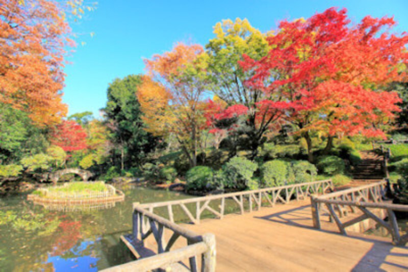 有栖川宮記念公園の紅葉