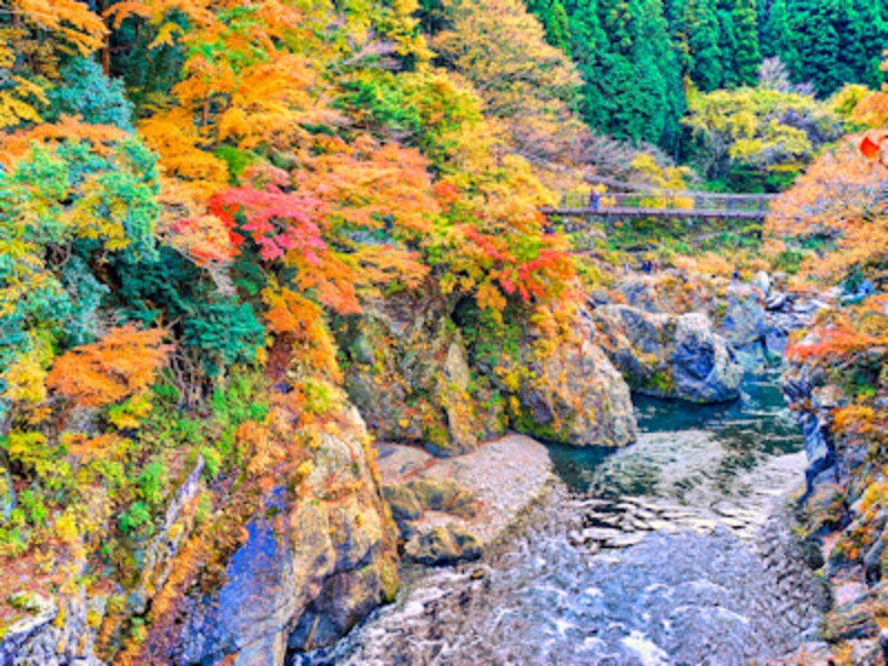 鳩ノ巣渓谷の紅葉