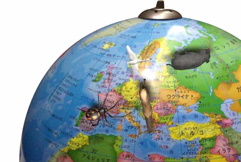 AR機能搭載のしゃべる地球儀「パーフェクトグローブEXAR」