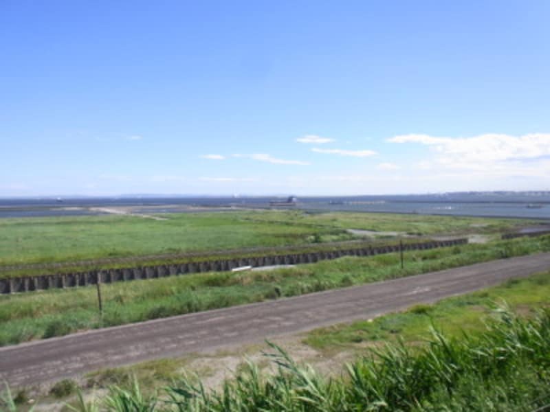 東京湾、処分場、