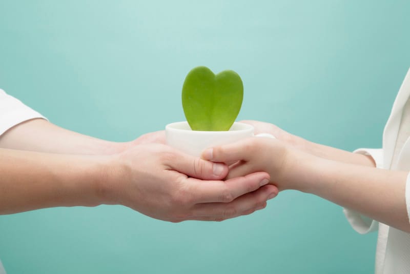 男性が本命にしたい女性の特徴5:恋愛経験が少ない