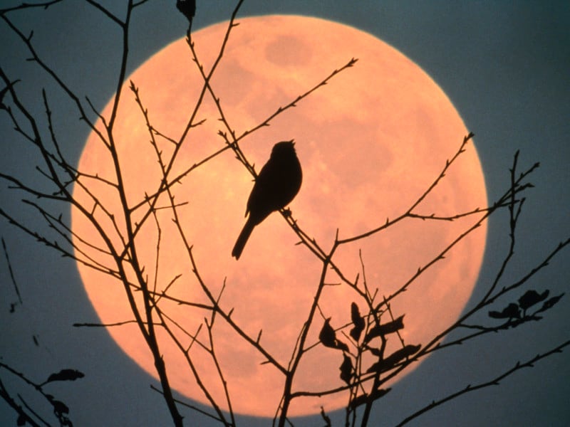 スーパームーン