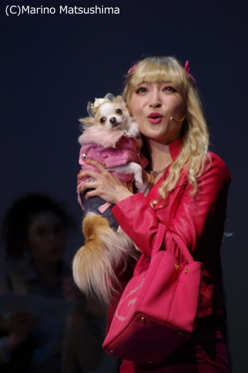 『キューティ・ブロンド』(C)Marino Matsushima