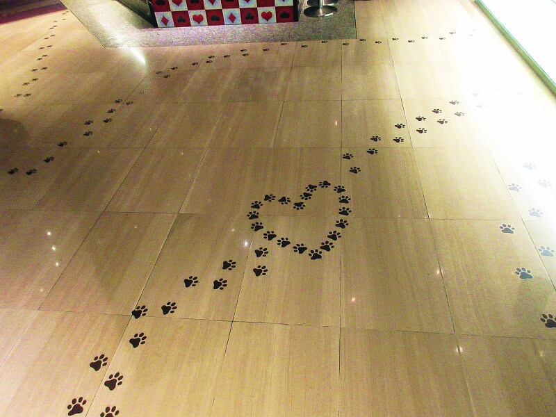 ヒルトン東京 猫の足跡がプリントされたフロア